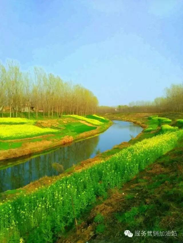 别不信，净水器早晚都得装！(图3)